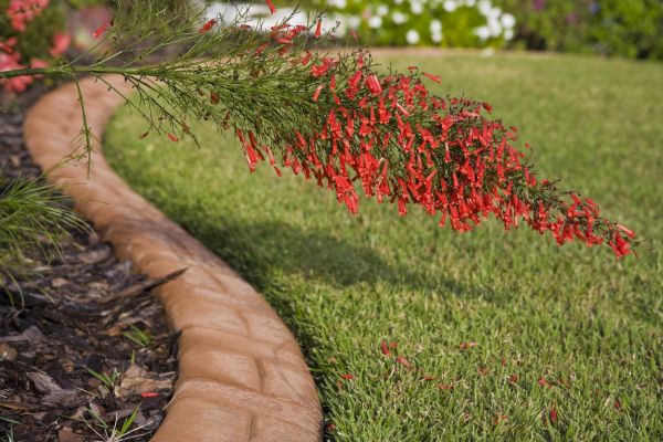 Brick Edging in Vancouver